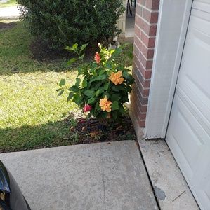 Meet your Posher, Debra